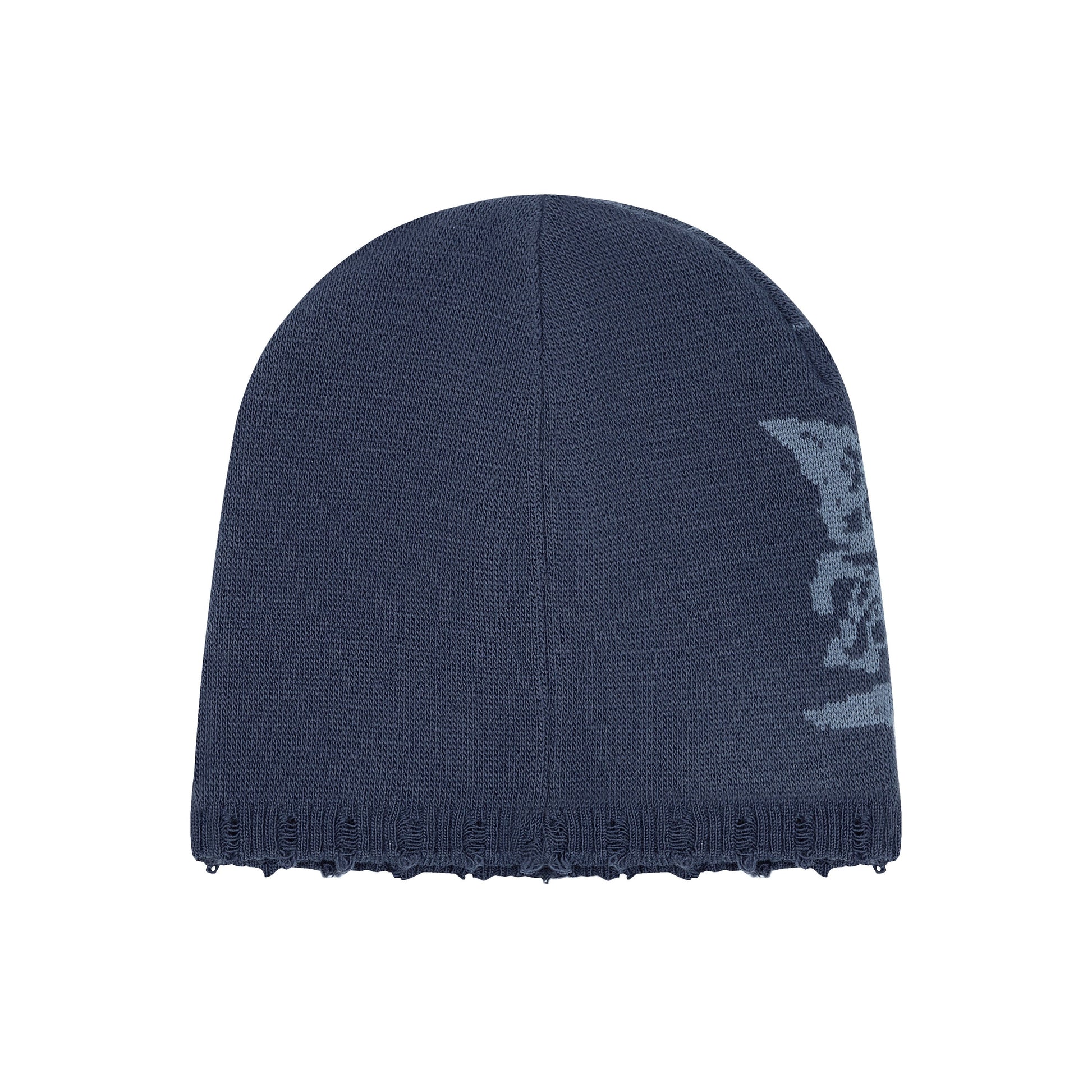 "awakening v2" beanie blue